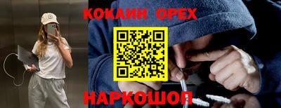 гидропоника Пушкино