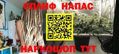 гидропоника Пушкино