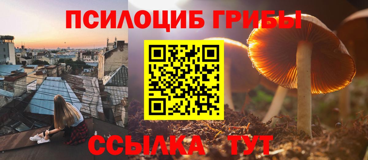 Псков  Псилоцибиновые грибы мицелий  Вход с VPN 